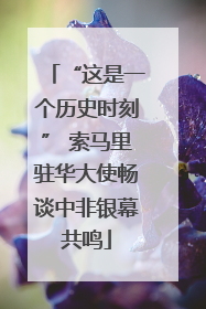 “这是一个历史时刻” 索马里驻华大使畅谈中非银幕共鸣