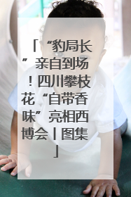 “豹局长”亲自到场！四川攀枝花“自带香味”亮相西博会丨图集