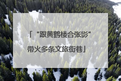 “跟黄鹤楼合张影”带火多条文旅街巷