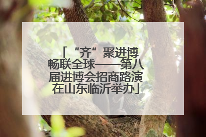 “齐”聚进博 畅联全球——第八届进博会招商路演在山东临沂举办