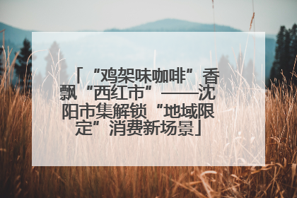 “鸡架味咖啡”香飘“西红市”——沈阳市集解锁“地域限定”消费新场景