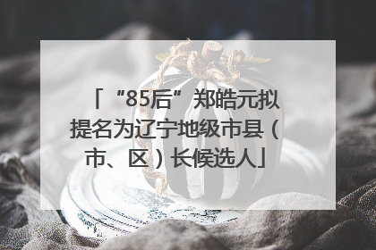 “85后”郑皓元拟提名为辽宁地级市县（市、区）长候选人