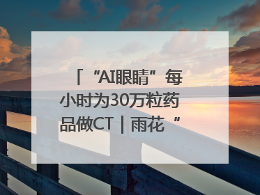 “AI眼睛”每小时为30万粒药品做CT｜雨花“创”世代
