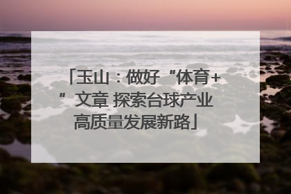 玉山：做好“体育+”文章 探索台球产业高质量发展新路