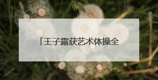 王子露获艺术体操全锦赛个人全能冠军