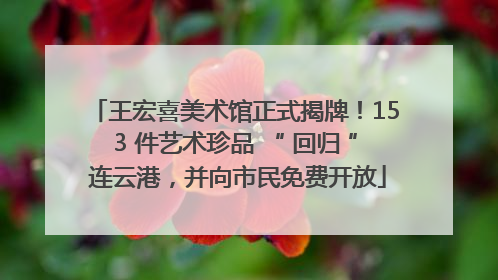 王宏喜美术馆正式揭牌！153 件艺术珍品 “ 回归 ” 连云港，并向市民免费开放
