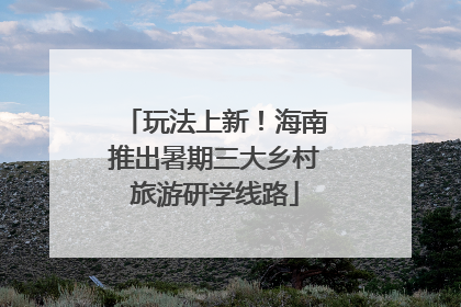 玩法上新！海南推出暑期三大乡村旅游研学线路