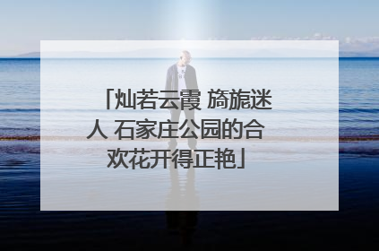 灿若云霞 旖旎迷人 石家庄公园的合欢花开得正艳