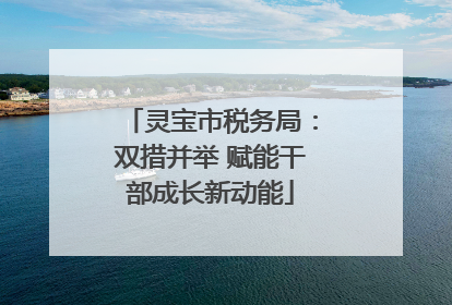 灵宝市税务局：双措并举 赋能干部成长新动能
