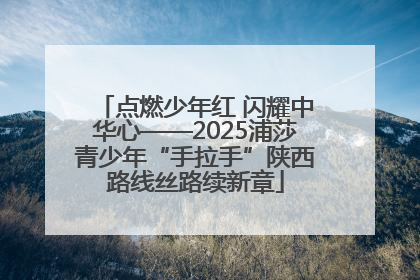 点燃少年红 闪耀中华心——2025浦莎青少年“手拉手”陕西路线丝路续新章