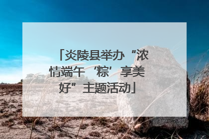 炎陵县举办“浓情端午‘粽’享美好”主题活动