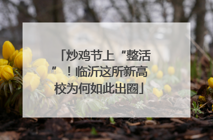 炒鸡节上“整活”！临沂这所新高校为何如此出圈