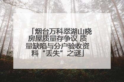 烟台万科翠湖山晓房屋质量存争议 质量缺陷与分户验收资料“丢失”之谜