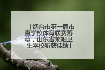 烟台市第一届市直学校体育联赛落幕，山东省莱阳卫生学校斩获佳绩
