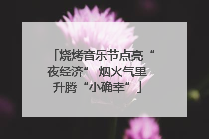 烧烤音乐节点亮“夜经济” 烟火气里升腾“小确幸”
