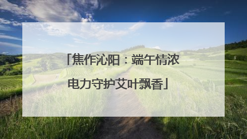 焦作沁阳：端午情浓 电力守护艾叶飘香
