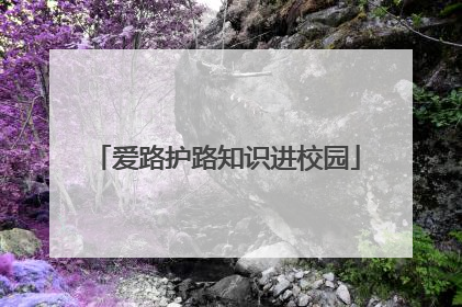 爱路护路知识进校园