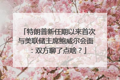 特朗普新任期以来首次与美联储主席鲍威尔会面：双方聊了点啥？