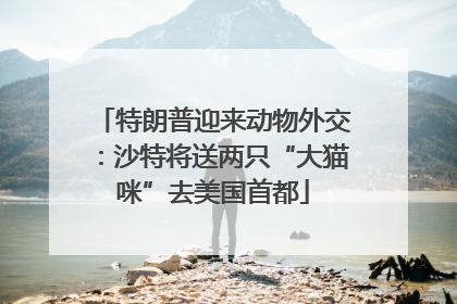 特朗普迎来动物外交：沙特将送两只“大猫咪”去美国首都