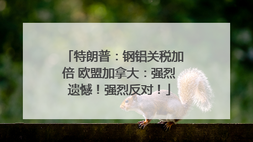 特朗普：钢铝关税加倍 欧盟加拿大：强烈遗憾！强烈反对！
