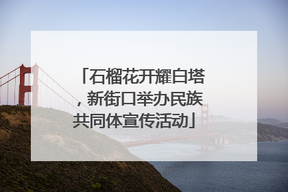 石榴花开耀白塔，新街口举办民族共同体宣传活动