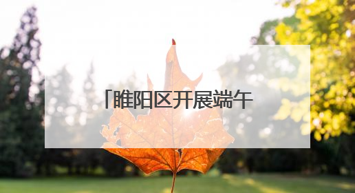 睢阳区开展端午文明实践活动 民俗与新时代文明交融共绽光彩
