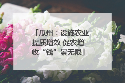 瓜州：设施农业提质增效 促农增收“钱”景无限