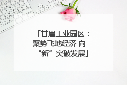 甘眉工业园区：聚势飞地经济 向“新”突破发展