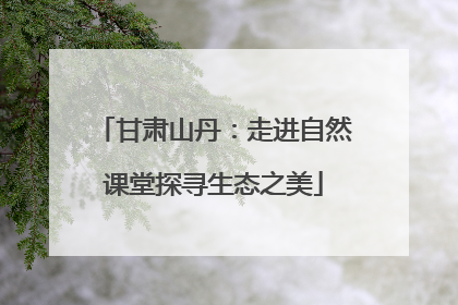 甘肃山丹：走进自然课堂探寻生态之美
