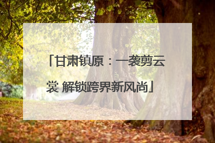 甘肃镇原：一袭剪云裳 解锁跨界新风尚