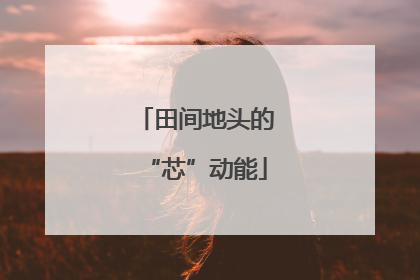 田间地头的“芯”动能