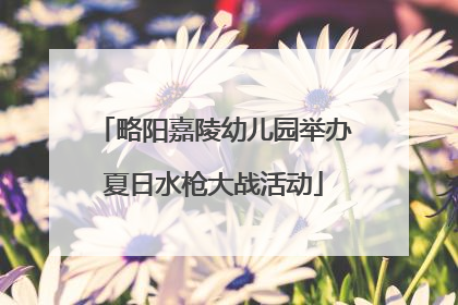 略阳嘉陵幼儿园举办夏日水枪大战活动