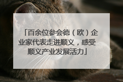 百余位参会德（欧）企业家代表走进顺义，感受顺义产业发展活力