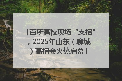 百所高校现场“支招”，2025年山东（聊城）高招会火热启幕