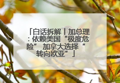 白话拆解丨加总理：依赖美国“极度危险” 加拿大选择“转向欧亚”