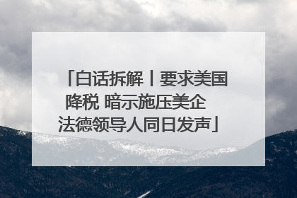 白话拆解丨要求美国降税 暗示施压美企 法德领导人同日发声