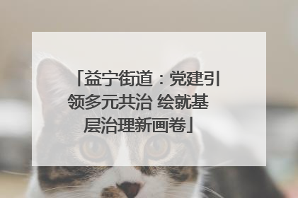 益宁街道：党建引领多元共治 绘就基层治理新画卷