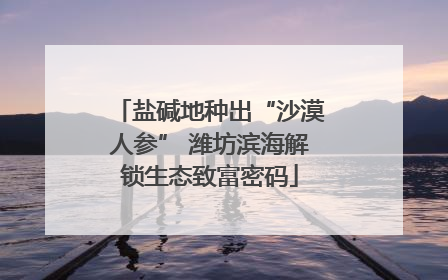 盐碱地种出“沙漠人参” 潍坊滨海解锁生态致富密码