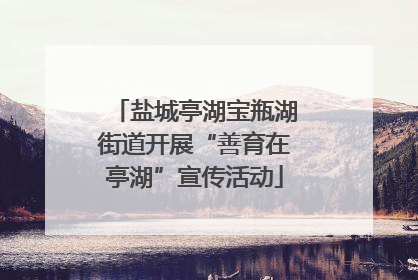 盐城亭湖宝瓶湖街道开展“善育在亭湖”宣传活动
