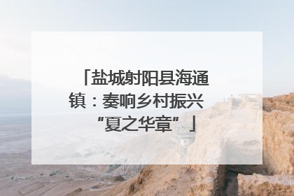 盐城射阳县海通镇：奏响乡村振兴“夏之华章”