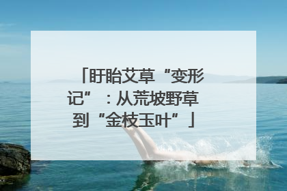 盱眙艾草“变形记”：从荒坡野草到“金枝玉叶”