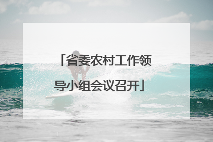 省委农村工作领导小组会议召开