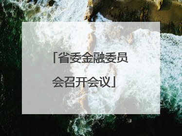 省委金融委员会召开会议