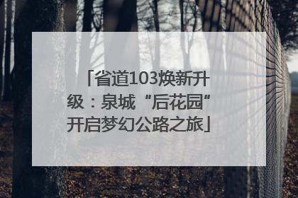 省道103焕新升级：泉城“后花园”开启梦幻公路之旅