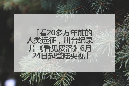 看20多万年前的人类远征，川台纪录片《看见皮洛》6月24日起登陆央视