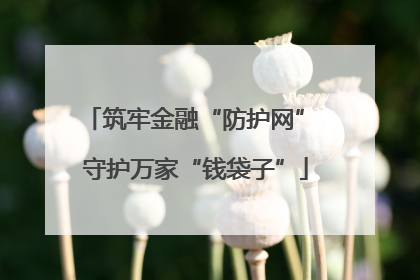 筑牢金融“防护网” 守护万家“钱袋子”