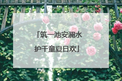 筑一池安澜水 护千童夏日欢