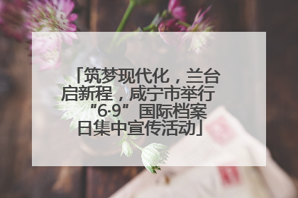 筑梦现代化，兰台启新程，咸宁市举行“6·9”国际档案日集中宣传活动