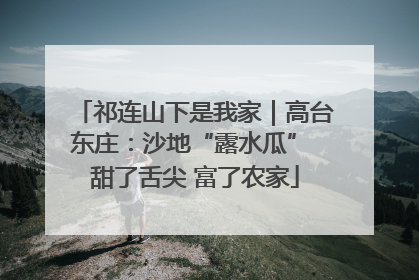 祁连山下是我家｜高台东庄：沙地“露水瓜” 甜了舌尖 富了农家