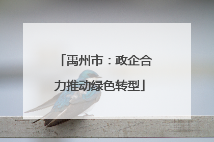 禹州市：政企合力推动绿色转型